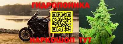 эйфоретик Рыбинск